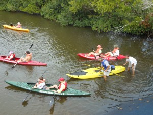 Kayaking and paddleboard rentals in Naples Florida