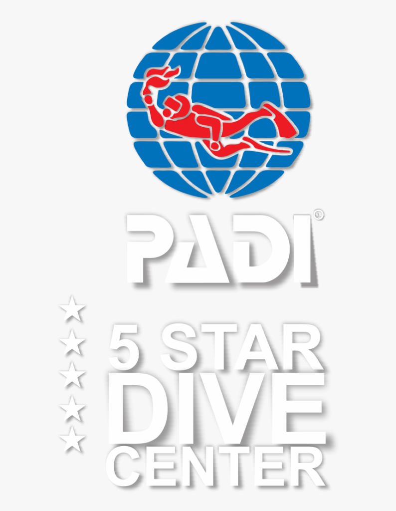 Cruise Fish Dive PADI 5 Star Dive Center