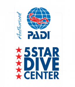 Cruise Fish Dive PADI 5 Star Dive Center