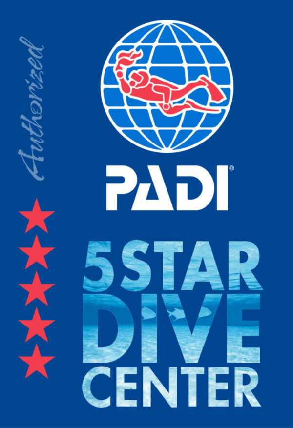 Cruise Fish Dive PADI 5 Star Dive Center