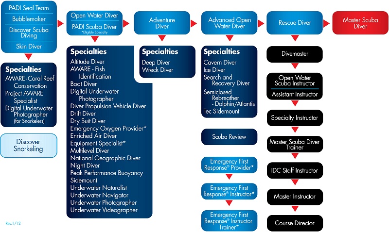 PADI-Course-Chart