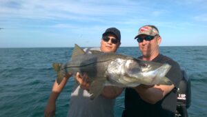 Huge Snook in Naples Florida