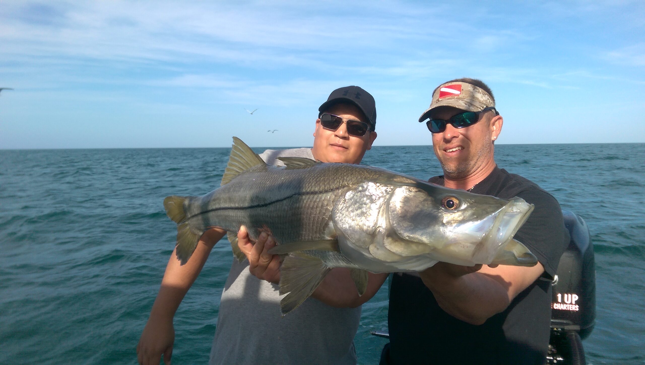 Huge Snook in Naples Florida