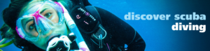 PADI Discover Scuba Diving or Try Scuba with Cruise Fish Dive