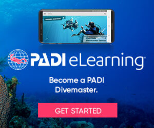 Dive Master Course