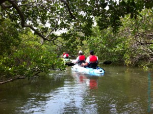 kayaking-safari-naples.jpg