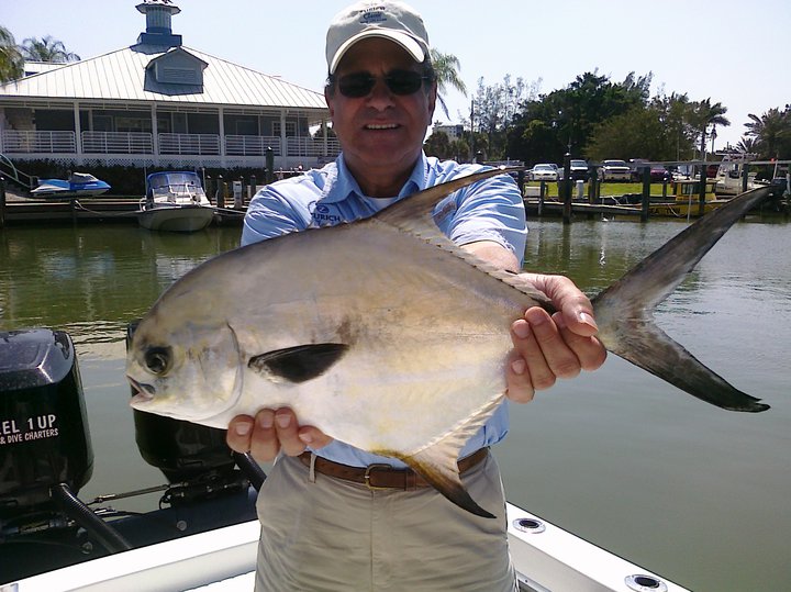 permit caught in Naples florida