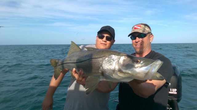 Snook Fishing Naples Florida