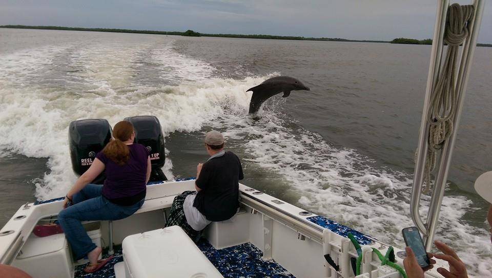 Dolphin Encounter & Nature Tours